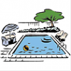 Safely Lowers Swim Pool pH